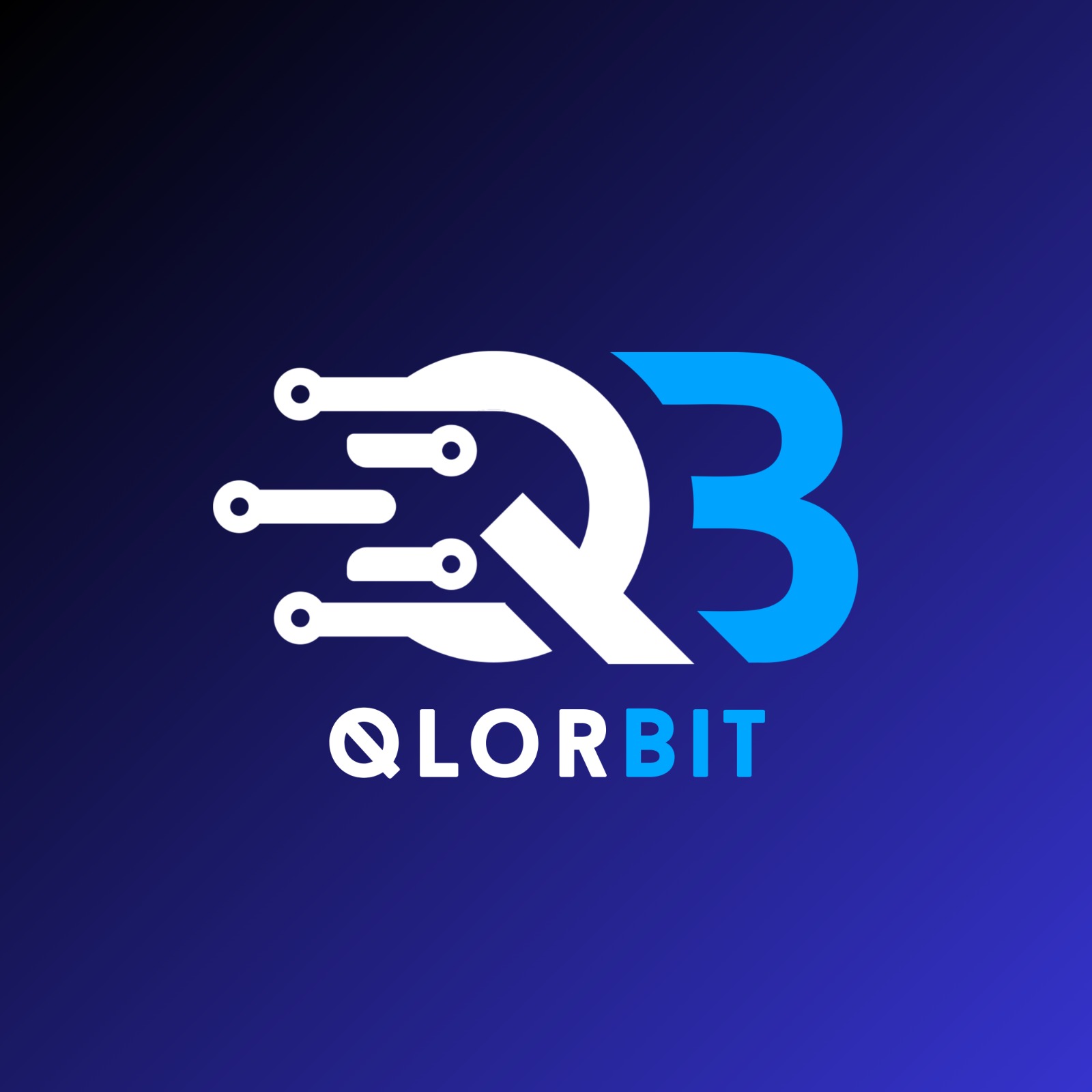 How QlorBit is Revolutionizing Local Ecommerce Solutions